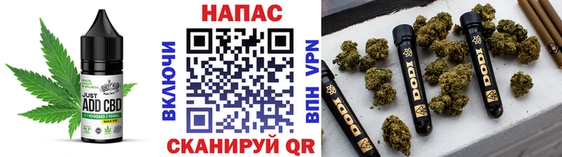 Canna-Cookies конопля продажа наркотиков Бакал