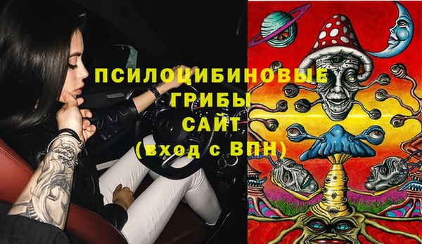 гидропоника Аркадак
